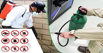 Dedetizadora Vila Olimpia