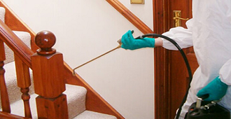 Descupinizadora em SP