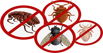 Descupinizadora Mirandopolis